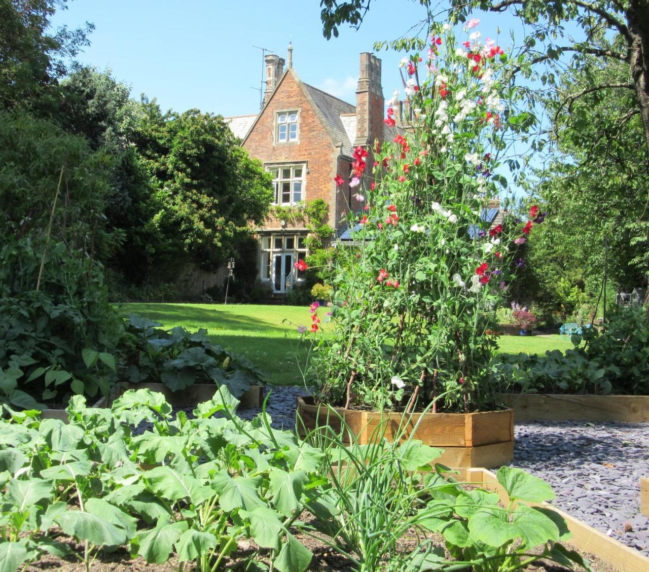 The Old Vicarage B & B Barnstaple Buitenkant foto